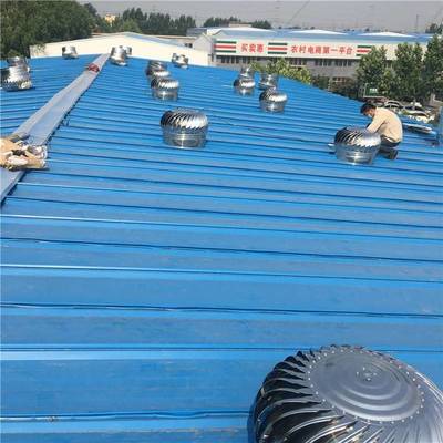 四川自貢廠房屋頂無動力風(fēng)機(jī) 屋頂通風(fēng)器風(fēng)帽風(fēng)球